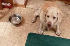 6d415b64-d7a4-4efb-a044-d920cd63518d